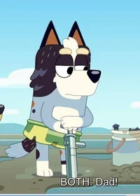 Bob Heeler
