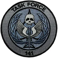 Task Force 141