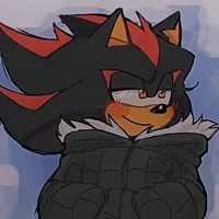Shadow The Hedgehog