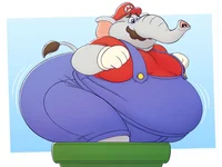 Elephant mario stuck