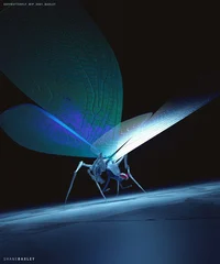 Butterfly peacemaker