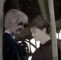 DRACO AND HARRY