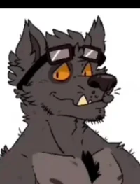 Levi - Wolf inventor