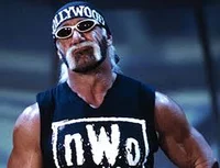Hollywood Hulk Hogan