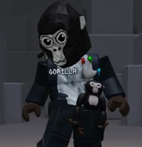 Gorilla