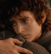 Frodo Baggins
