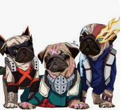 MHA turned into dogs