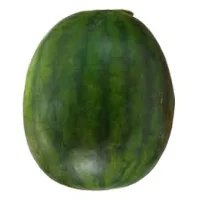 A FVCKING WATERMELON