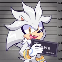 Silver the Hedgehog 