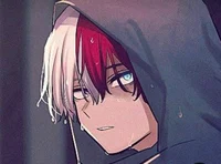Shoto Todoroki 