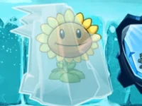 Frozen Sunflower
