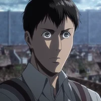Bertholdt Hoover Br