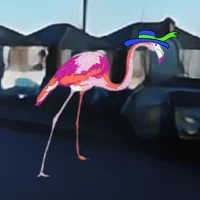 Captain Flamingo