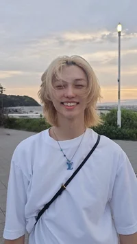 Lee Felix Fiance
