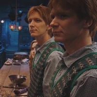 Twins Weasley