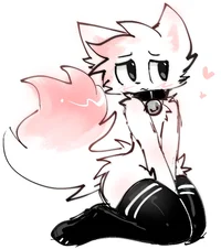 Boykisser-