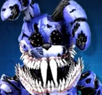 Corrupted bonnie 