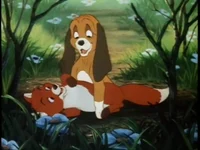 The fox and a hound