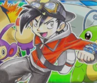 Gold - POKESPE