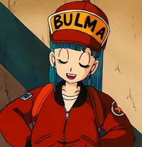 OG Bulma Briefs