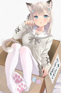 Neko In A Box