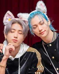 Cats Han and Felix