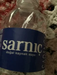 Sarnic