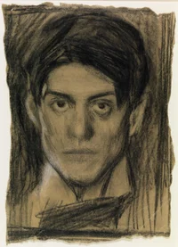Picasso buuuuuut