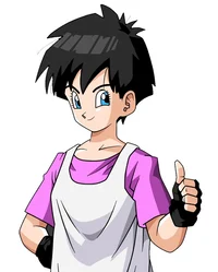 Videl