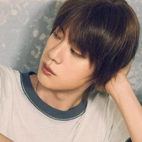Seokjin 