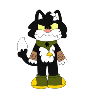 CCN The Cat