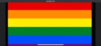 The gay army