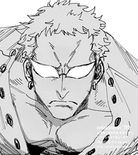 Doflamingo donquixot