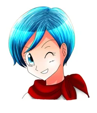 Bulma Briefs