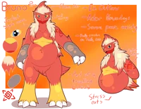 Bruno the Blaziken 