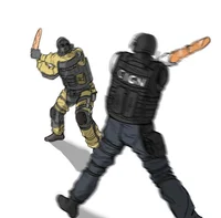 R6 Siege