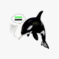 orca