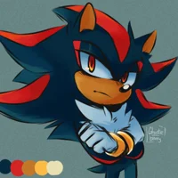 Shadow The Hedgehog