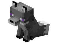 Pieterson but MC