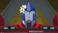 TFC - Jasmine Flower