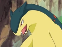 Typhlosion