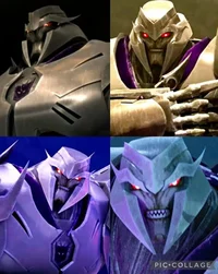 Megatron tfp