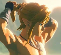 Link - BOTW