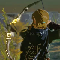 Link