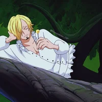 Sanji doctor 