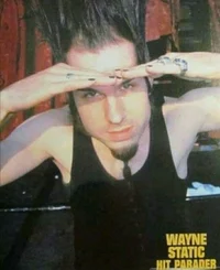 Wayne Static