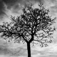 61-Important Message