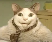 Бу Испугался