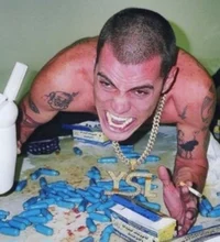Steve O