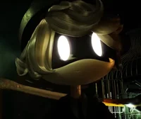 Serial designation N